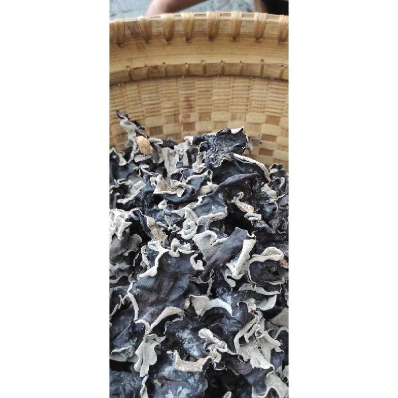 

JAMUR KUPING SUPER 100gram
