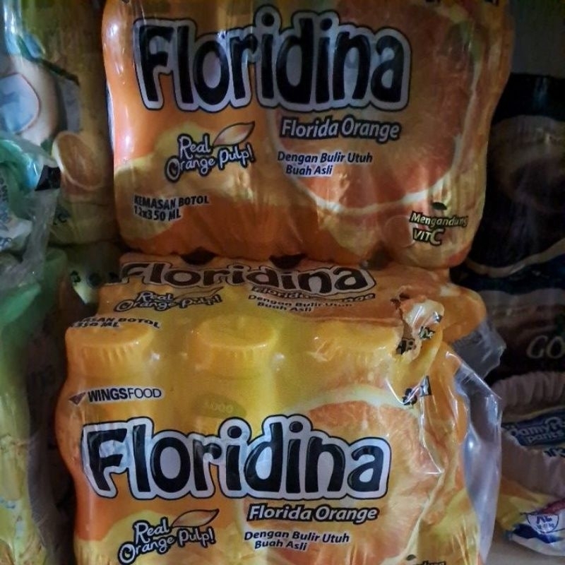 

Minuman Floridina Florida Orange Rasa Jeruk & Coco 1 Kotak