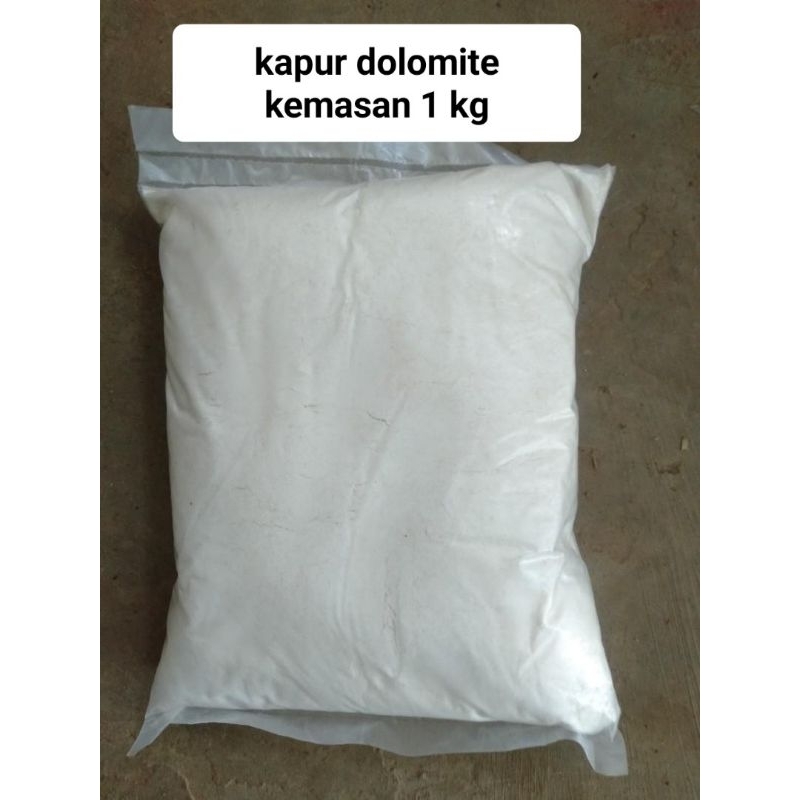 DOLOMITE 1 KG - Dolomite Gecko Alas Kandang Leopard Gecko Reptil Dolomite Kapur Kalsium Reptil
