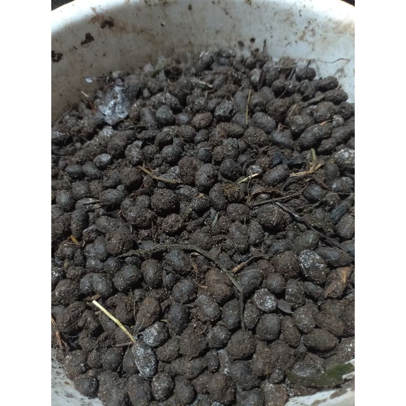 pupuk kandang basah/pupuk kandang kambing organik