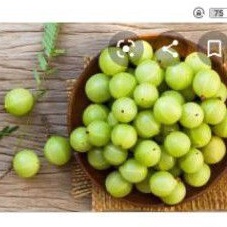 

Terbaru trxw3W7i buah amla atau malaka 1kg