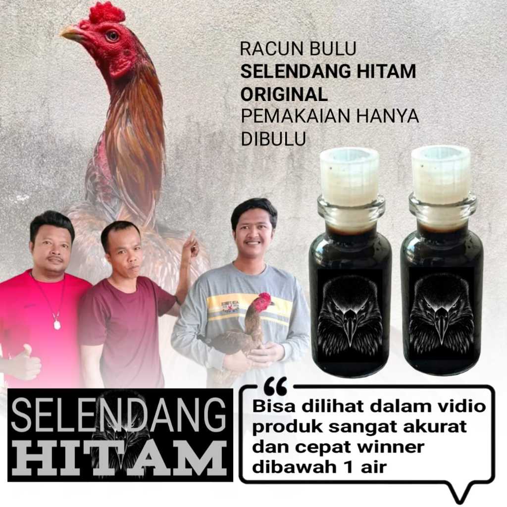 ayam bangkok murah asli pakhoy mangon vitamin jago tarung racun bulu selendang hitam