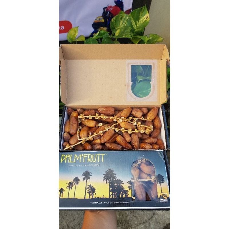 

Kurma PalmFruit 500gr Original Palm Fruit Tunisia Tangkai - Kurma Tunisia Tangkai 500gr - Palm Fruit Asli Tunisia