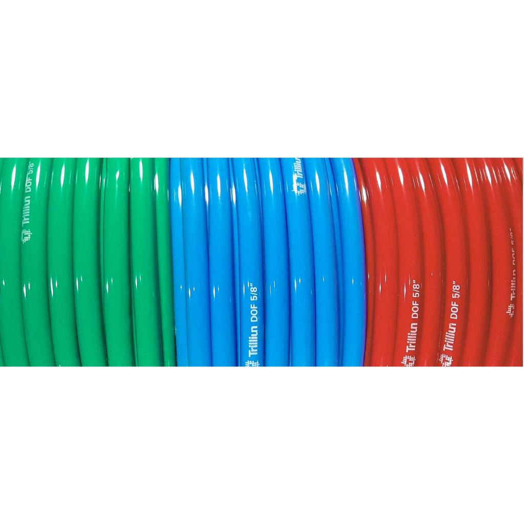 SELANG TRILLIUN DOP 1/2'