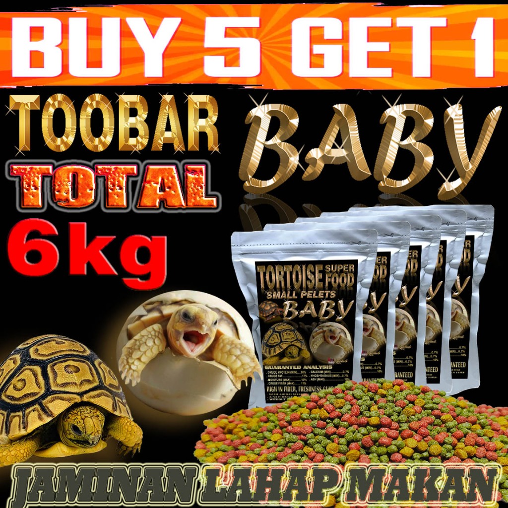 TORTOISE BABY BITES SULKATA SULCATA PELET MAKANAN BAYI KURA-KURA DARAT PARDALIS ALDABRA YNIPHORA RAD