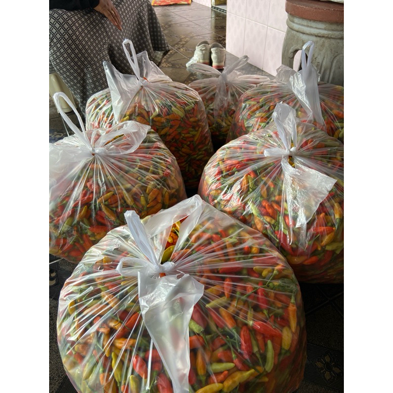 

Cabai Rawit ORI 500gr Fresh Petik Kebun