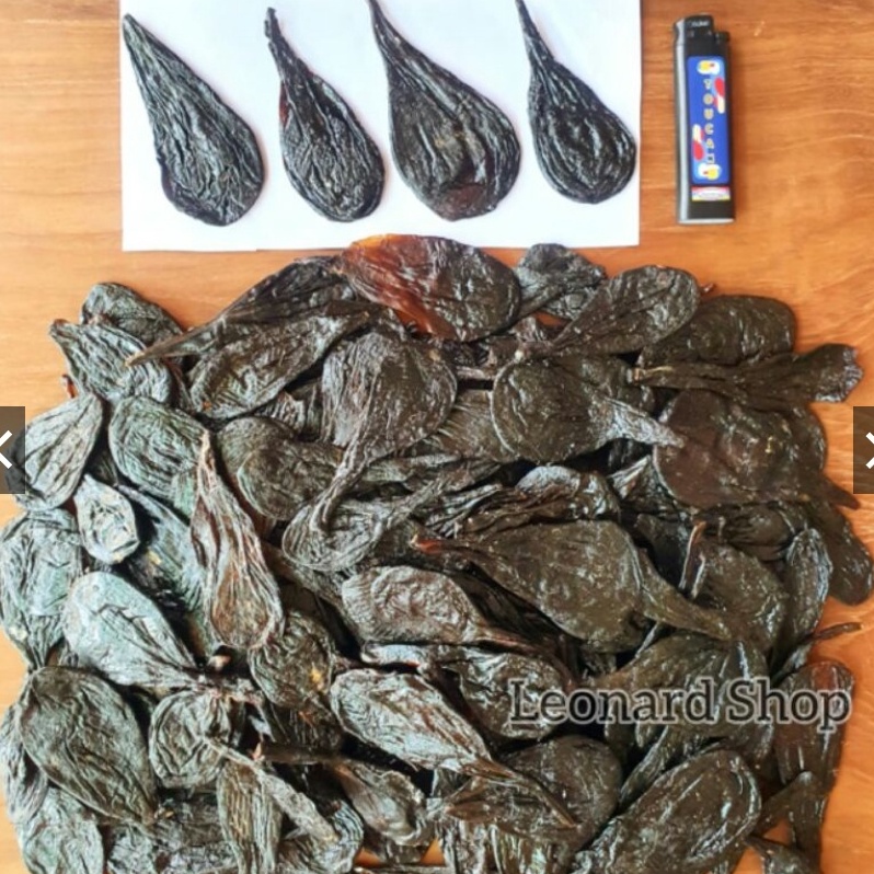 

YIU828 New event Empedu Ular Piton Sanca 1 Asli Besar Kering Bukan Cobra Obat Herbal Kesehatan Kulit Menyembuhkan Jerawat Menurunkan