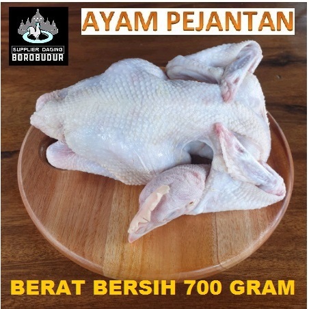 

Ayam pejantan besar ukuran BERAT BERSIH 700 gram komplit
