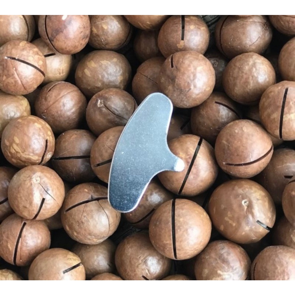 

KACANG MACADAMIA 250 Gram / MACADAMIA NUT / KACANG SEHAT