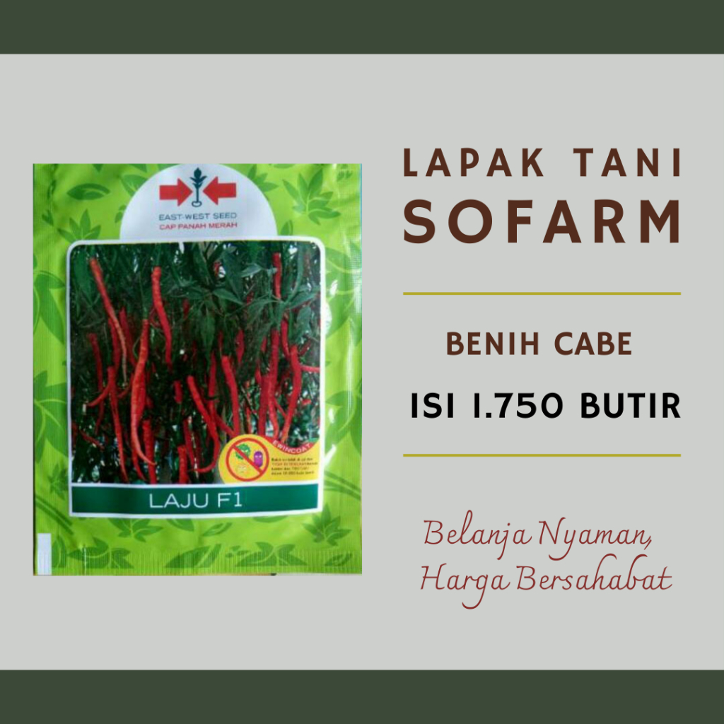 LAJU F1 BENIH CABE 1750 BUTIR