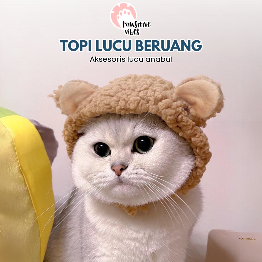 IHR923 Dijamin Ori Topi Kucing Beruang  Accesories Kucing