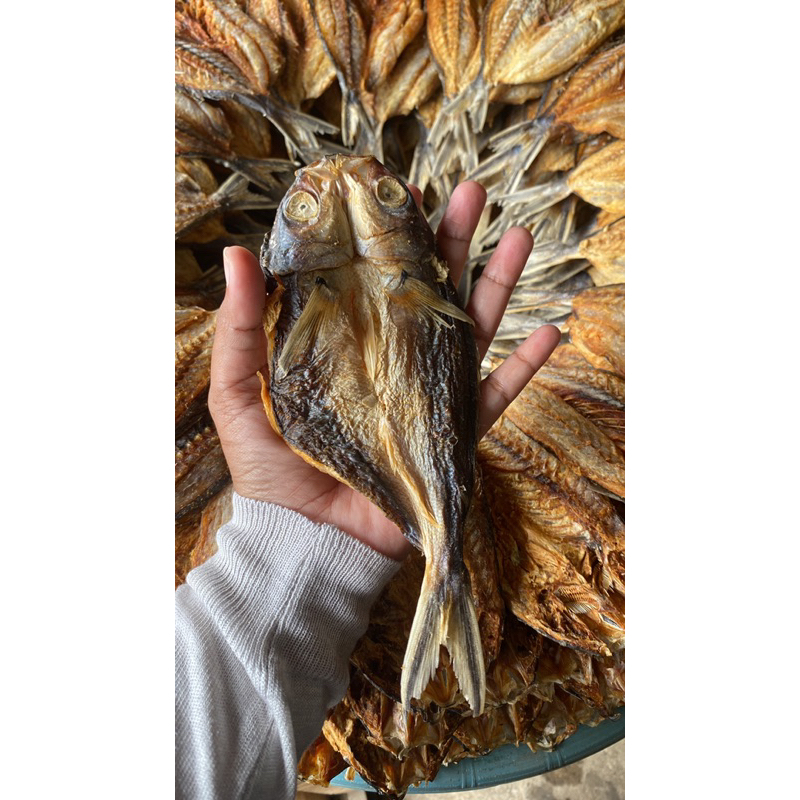 

Ikan Kering Asin Lalosi