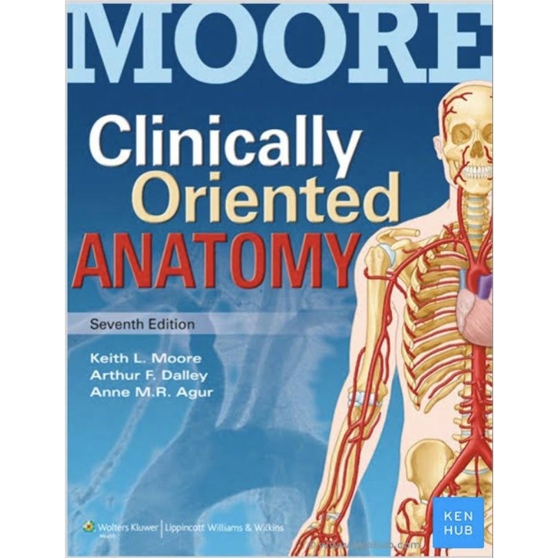 MOORE'S Clinically Oriented Anatomy edisi 7 FULL COLOUR buku kedokteran