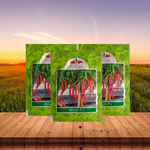BAJA 10 GR Benih CABE MERAH BESAR - Cabe Hibrida - Benih Murah - Cap Panah Merah - East West Seed