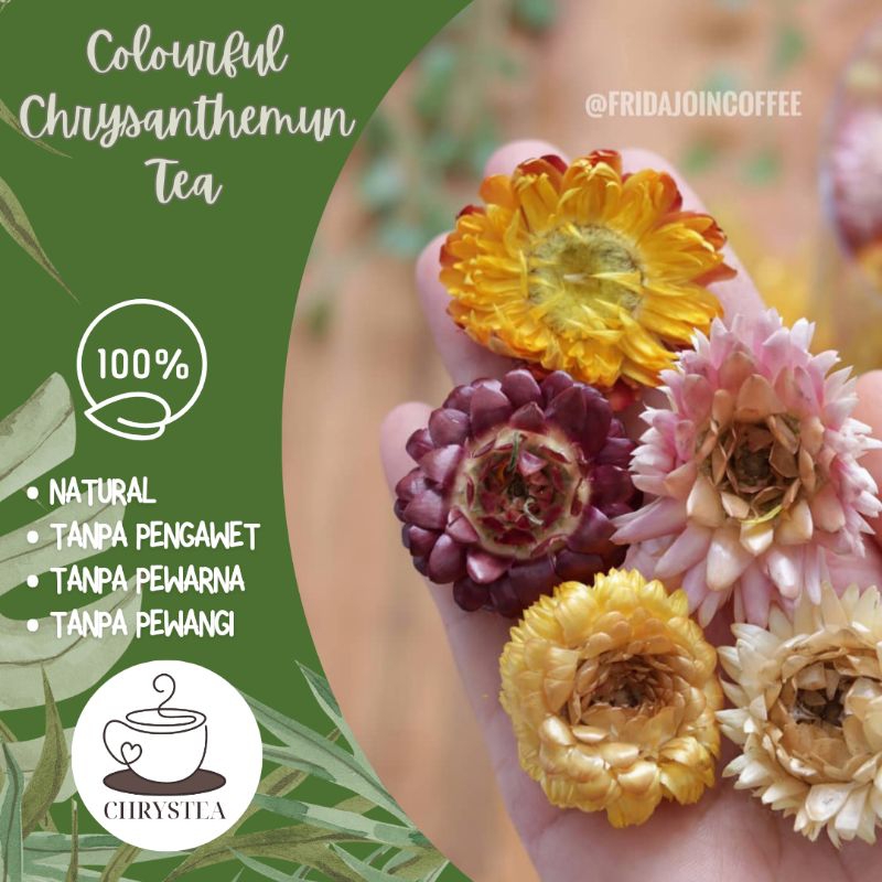 

CHRYSTEA || Colourful Chrysanthemum Tea Sachet 10gr