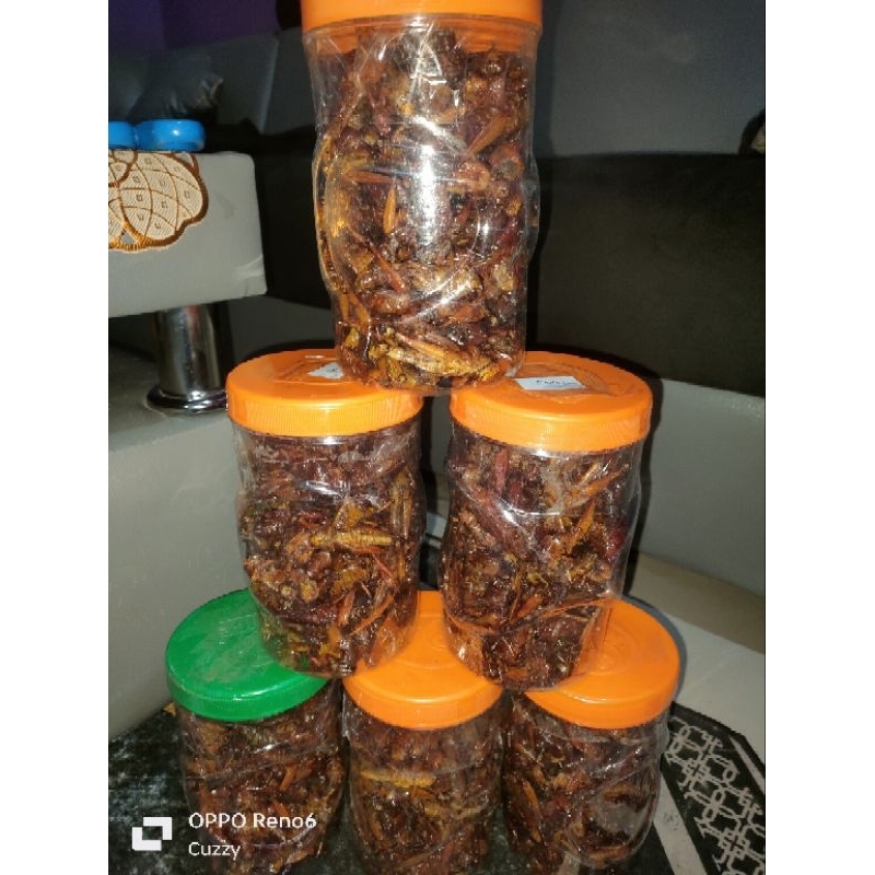 

Belalang KAYU CRISPY