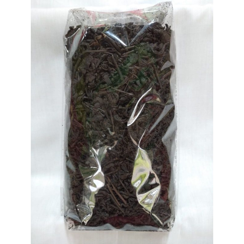 

teh rasa kopi tanpa kopi