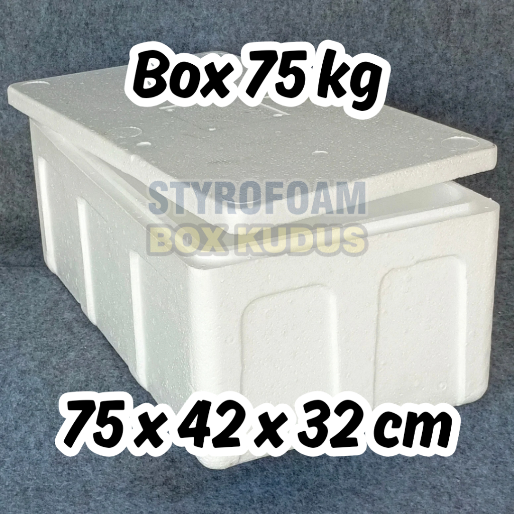 BOX 75 KG - Styrofoam Box Baru Penyimpanan Packing Frozen Food Box Ikan Gabus Ikan Sterofoam Sterofo