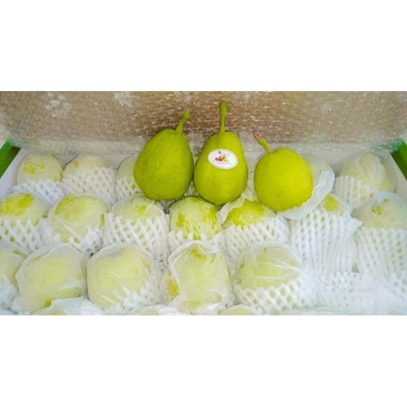 

Pear Xianglie