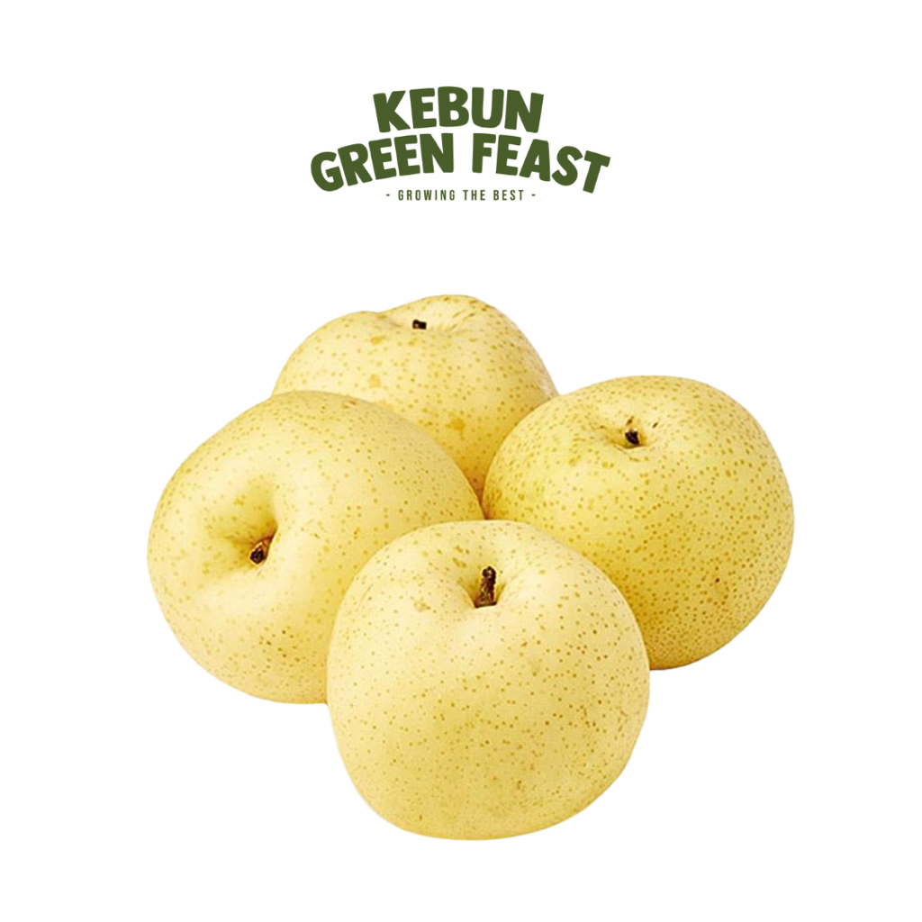 

Golden Pear Import - Buah Pear Segar - Import