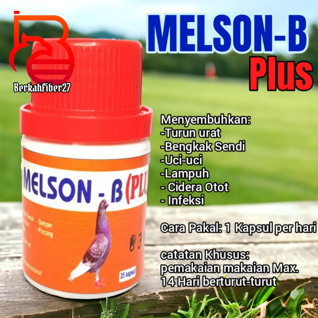 Jamu merpati MELSON-B plus obat melson-b plus obat merpati melson-b plus