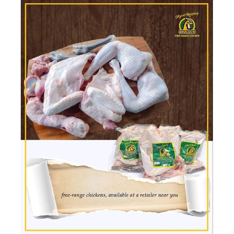 

Ayam kampung Brocock free range