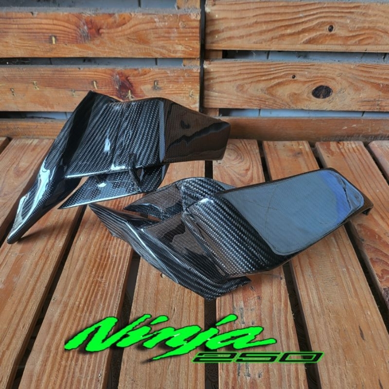 wingside winglet Ninja 250 FI New 2018 up