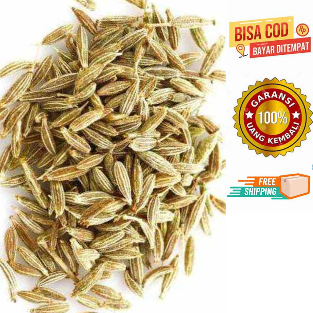 

Jintan / Jinten / Jinten Masak / Jintan Masak / Jintan Manis / Cumin Cyminum / Jintan Masak 1 kg / Jintan Masak 500 gram / Jintan 250 gram / Jintan Masak 100 gram