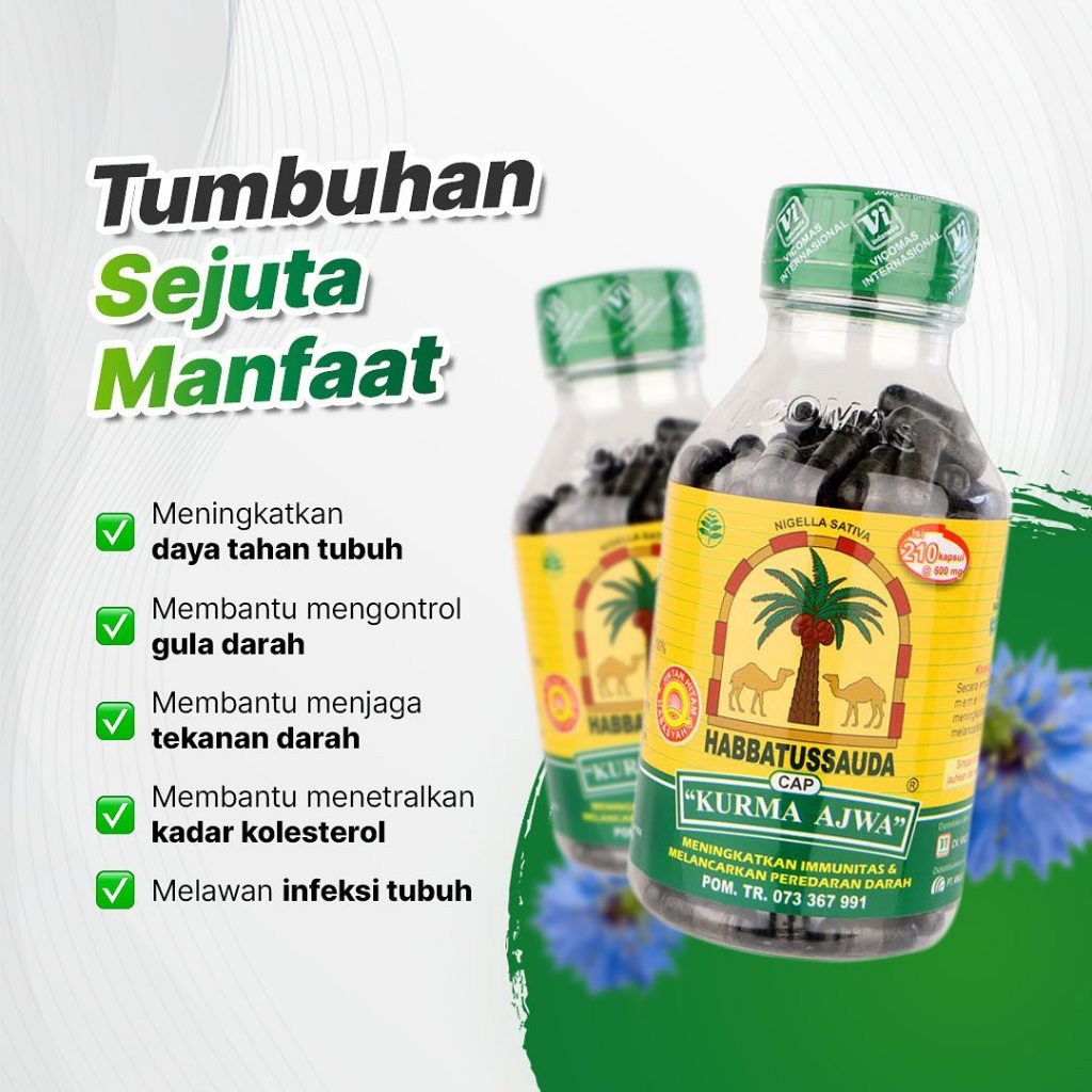 Habbatussauda KURMA AJWA Habatusauda Original Asli 210 Kapsul