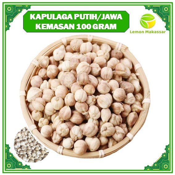 

Kapulaga putih kapulaga Jawa lokal 100 gram