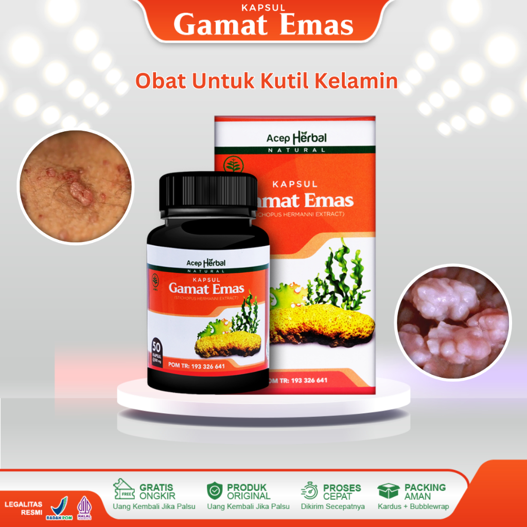 Obat Kutil Kelamin Kondiloma Akuminata Jengger Ayam Perontok Kutil Kelamin Pria Dan Wanita Virus Pap