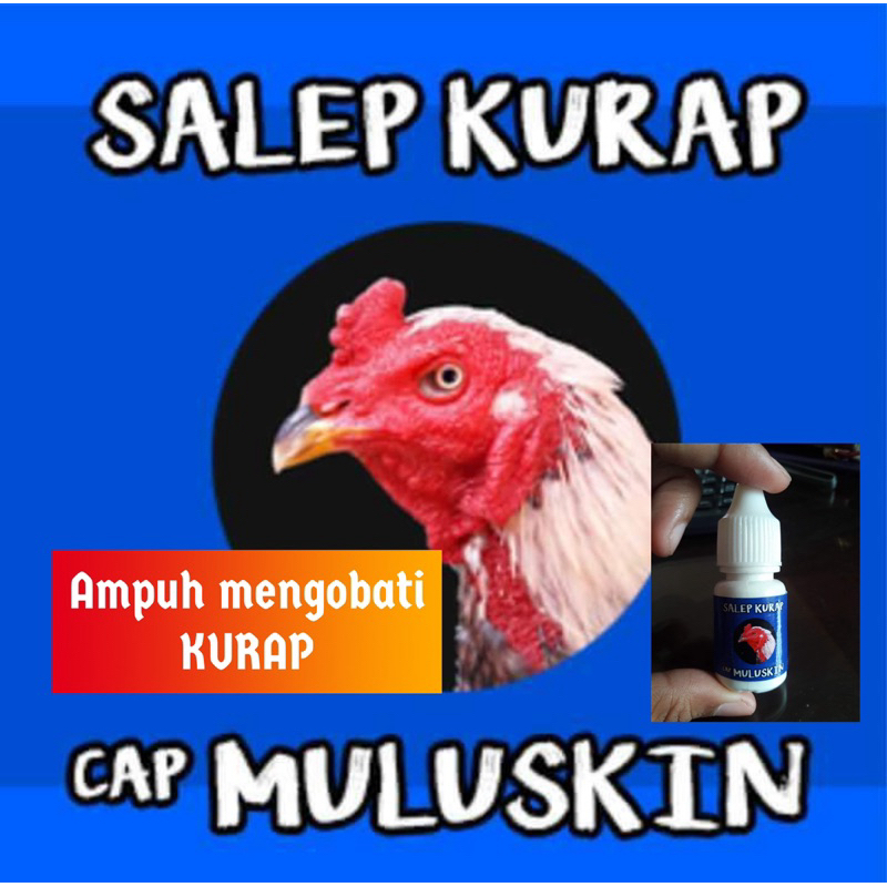 MULUSKIN solusi ayam kurapan (kurap)