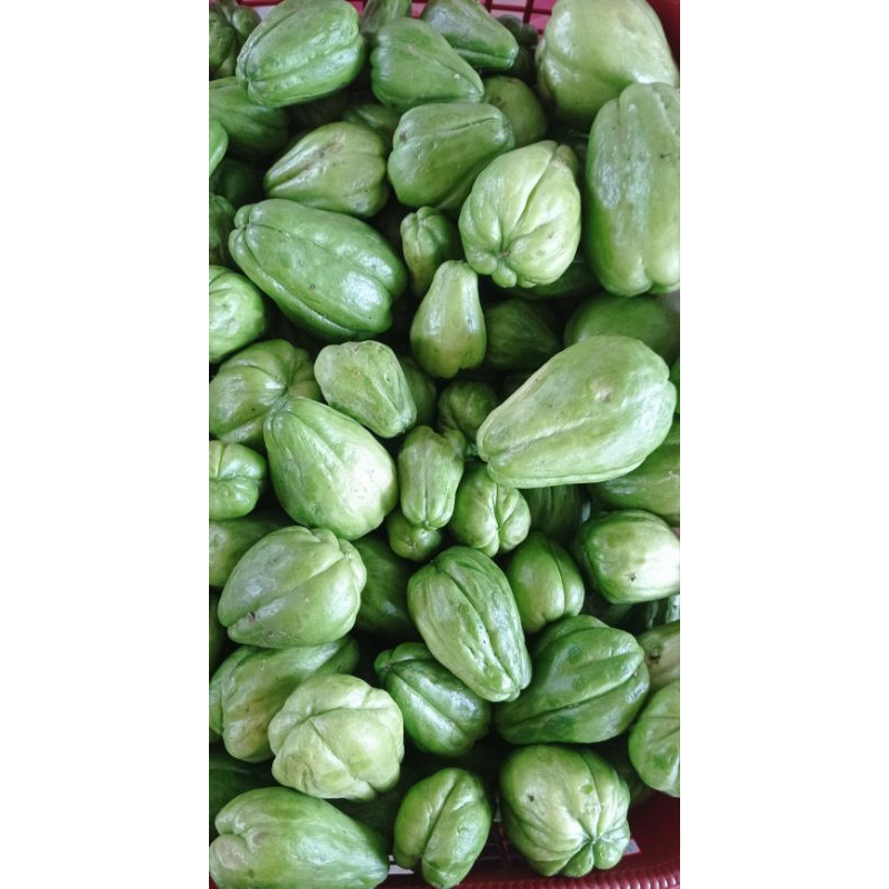 

LABU SIAM KECIL 1KG