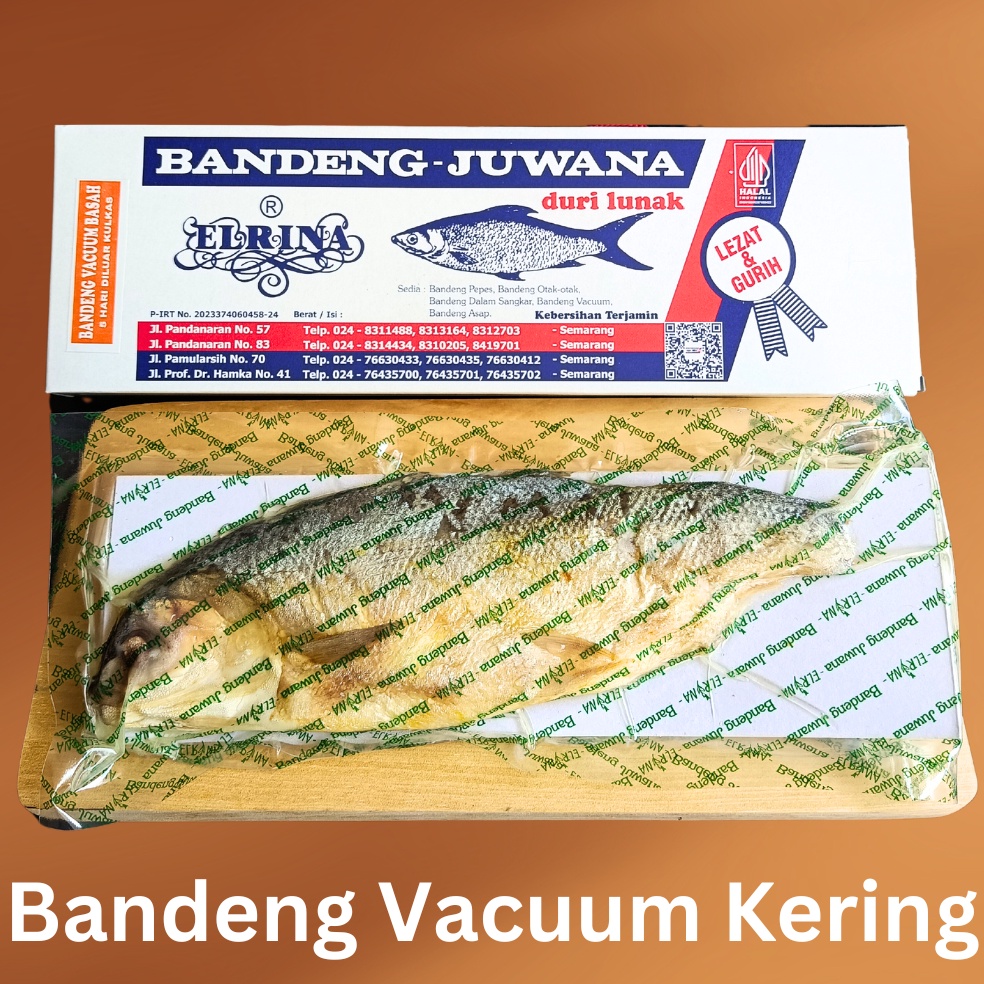 

SFE981 Terlaku Bandeng Presto Juwana Duri Lunak Bandeng Juwana Erlina Vacuum Kering Semarang