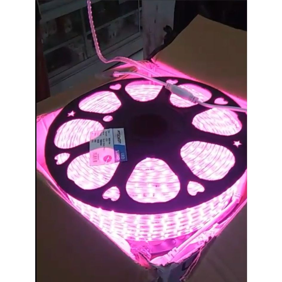 LED STRIP 2835 PROCYON