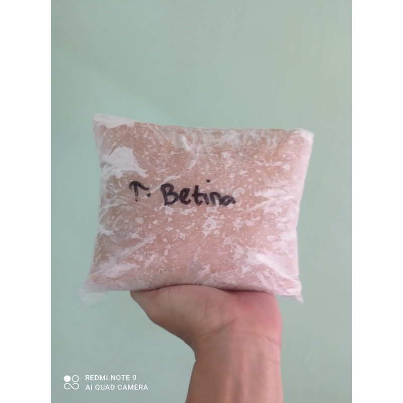 

Ikan giling Tenggiri Betina 500 gram