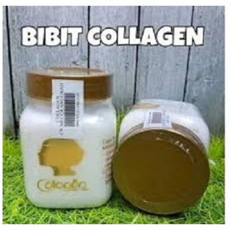 Bibit collagen original