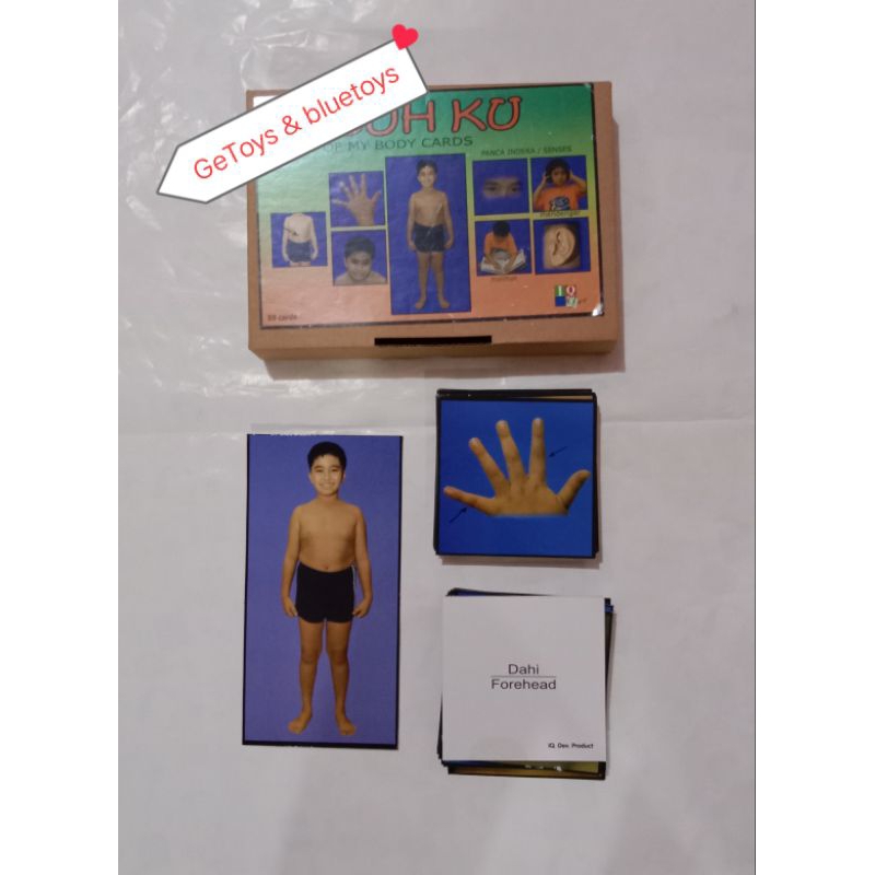 Kartu Tubuhku/IQ Development/Kartu Terapi Wicara Perilaku Autis