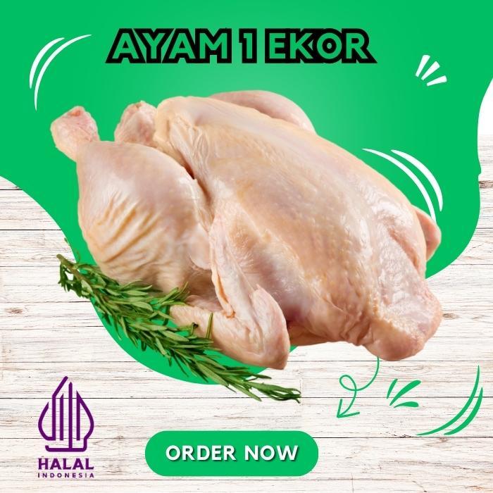 AYAM POTONG BOILER UKURAN 1 KG HALAL