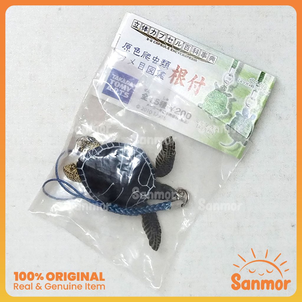 Gachapon Gashapon Encyclopedia Figure Strap Original New - Olive Ridley Sea Turtle