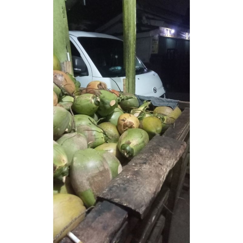 

kelapa muda