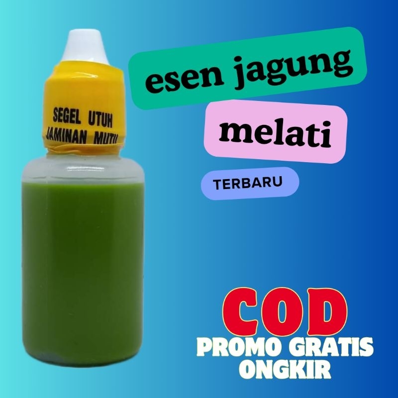(Termurah) Esen Jagung melati Oplosan ikan mas nila amis