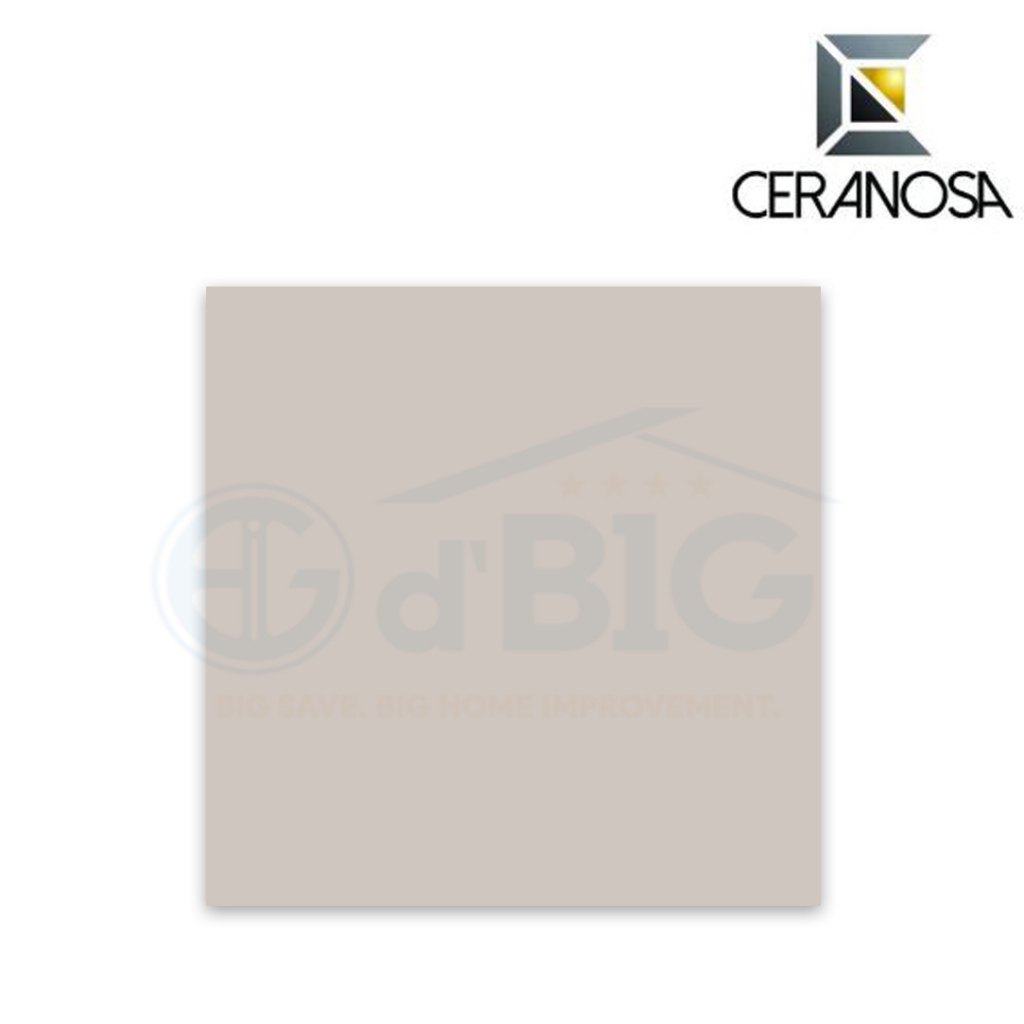 CERANOSA GRANITE IVORY 60X60 (CS9602GY)
