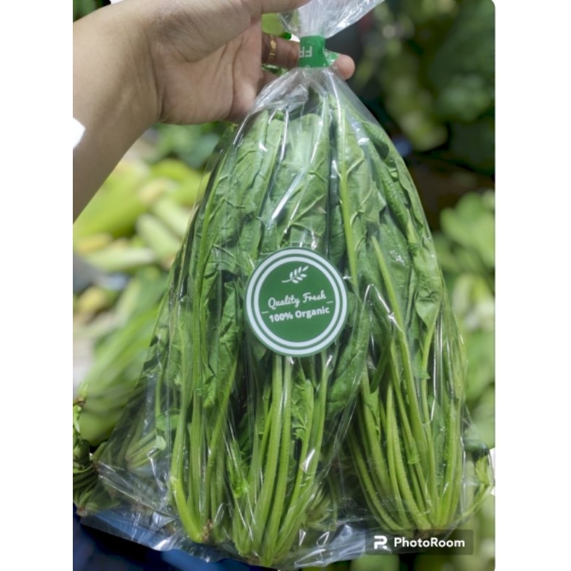 

SAYUR HORENSO ORGANIK PER PACK / POLING ORGANIK / POCHAI / BAYAM JEPANG ORGANIK / JAMIN SEGAR