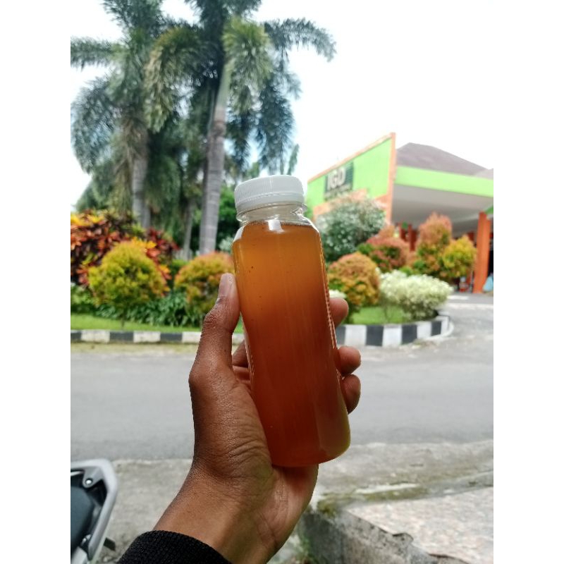 

MADU HUTAN MURNI 100%
