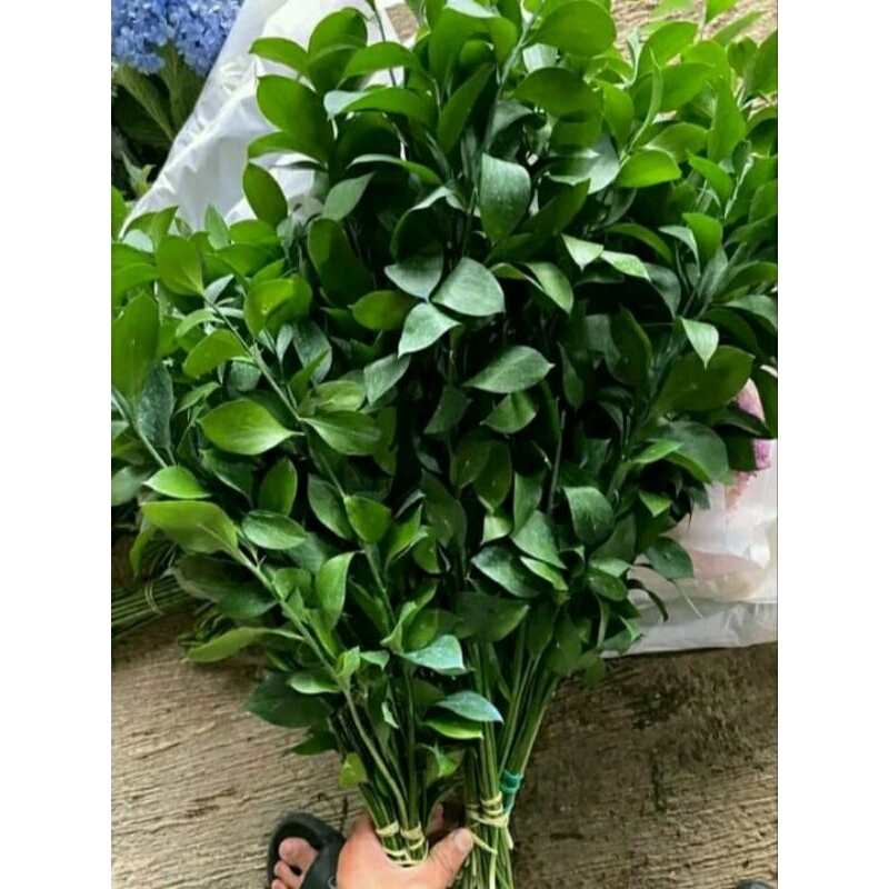 Bunga potong ruskus.