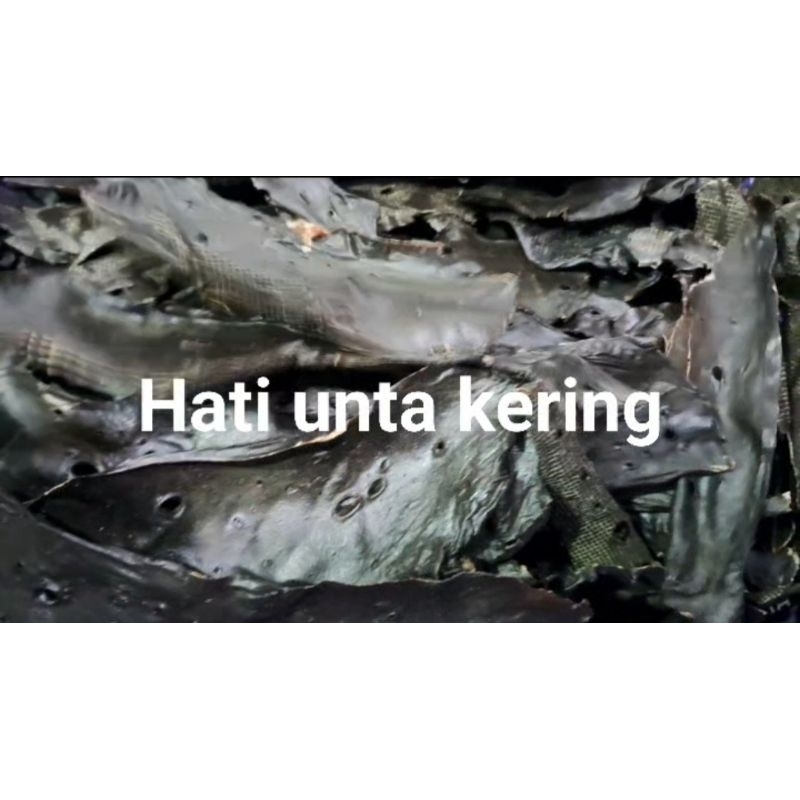 HATI ONTA KERING ASAL MESIR BERGARANSI