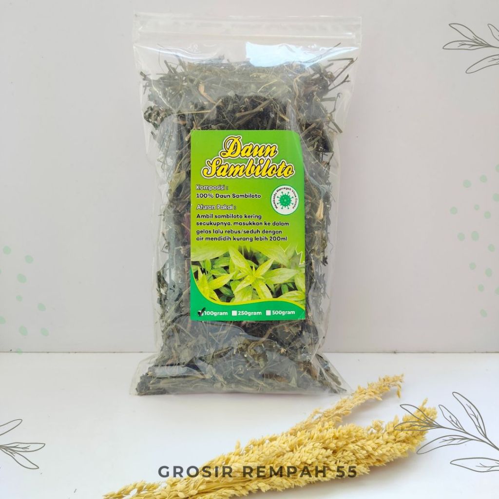 

SAMBILOTO KERING JAMU SAMBILOTO