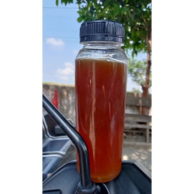 

Madu Klanceng Hutan Liar