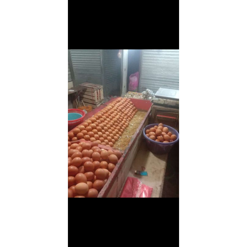 

telur ayam super 18-20 butir/kg